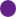 purple2.png